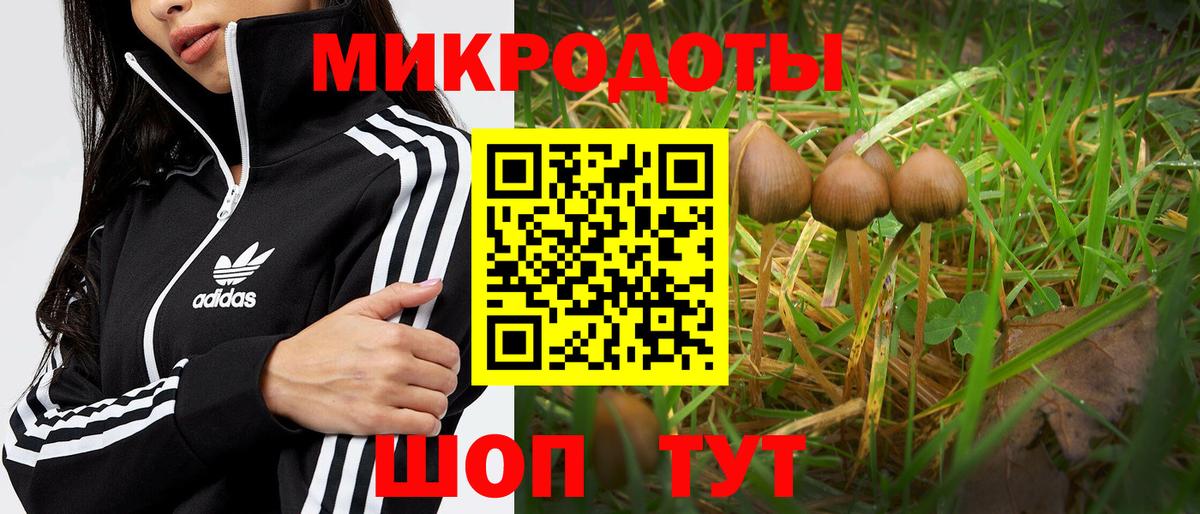 Псилоцибиновые грибы Psilocybine cubensis  Вход с VPN  Заводоуковск 