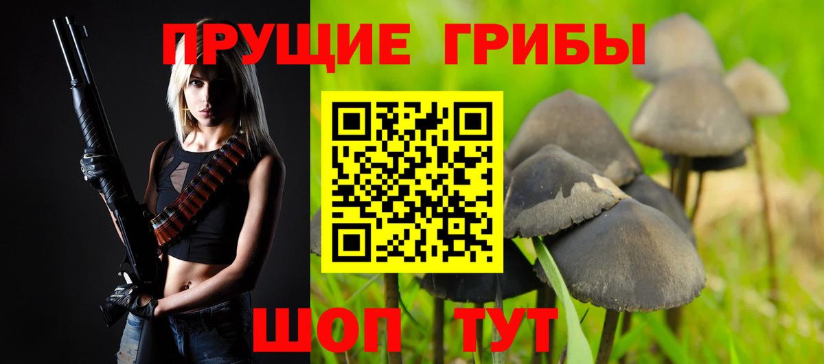 Галлюциногенные грибы ЛСД Заводоуковск